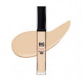 Big Cover Skin Fit Concealer Pro