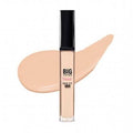 Big Cover Skin Fit Concealer Pro
